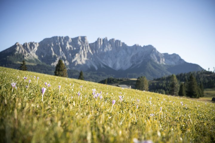 Berge Landschaft Dolomiten 