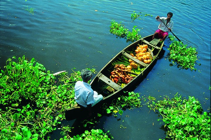 Kerala Boot in den Backwaters