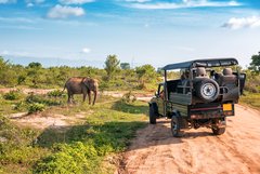 Elefant steht neben einem Safari-Jeep und lässt sich beobachten