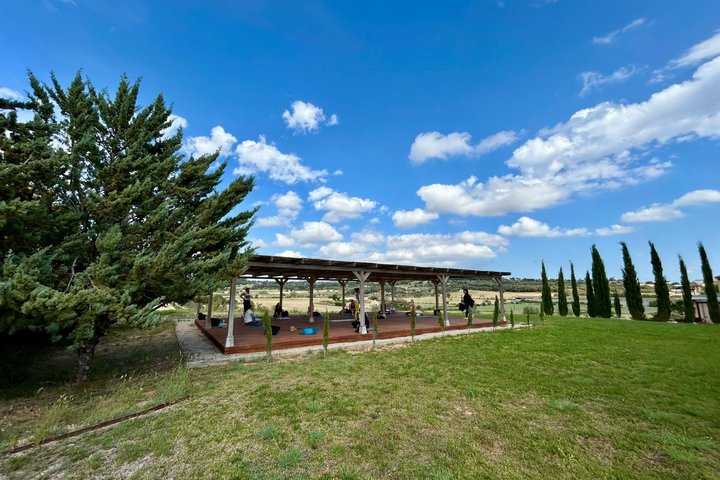 Yoga Finca Son Manera_Grosse Yogaplattform