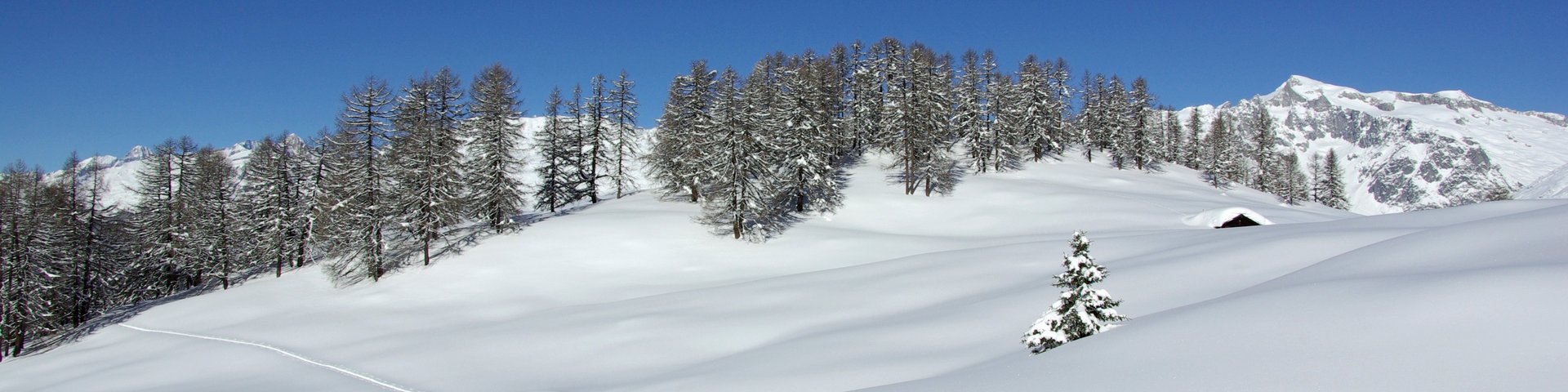 Winterlandschaft Binntal 