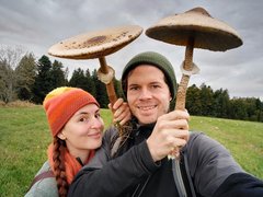 Explora, Pilze & Kräuter
