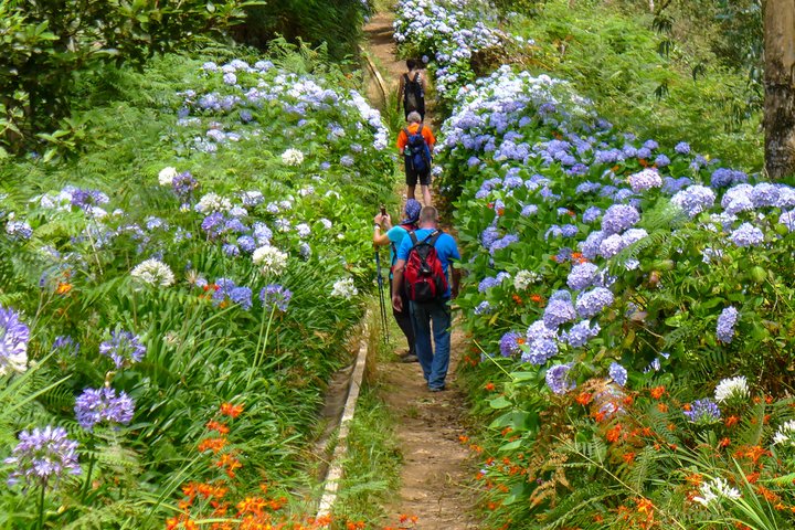 Wandergruppe im Blumenmeer von Madeira