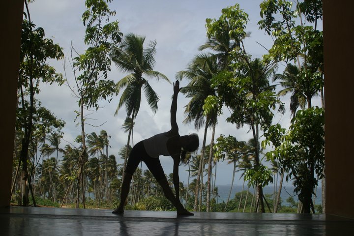 Hotel Barberyn Beach Yoga vor Palmen
