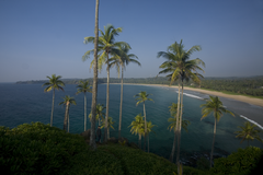 Hotel Surya Lanka Strand von oben