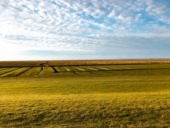 Nordsee Landschaft