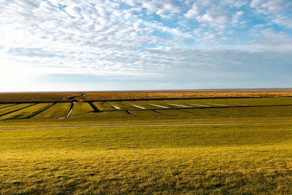Nordsee Landschaft