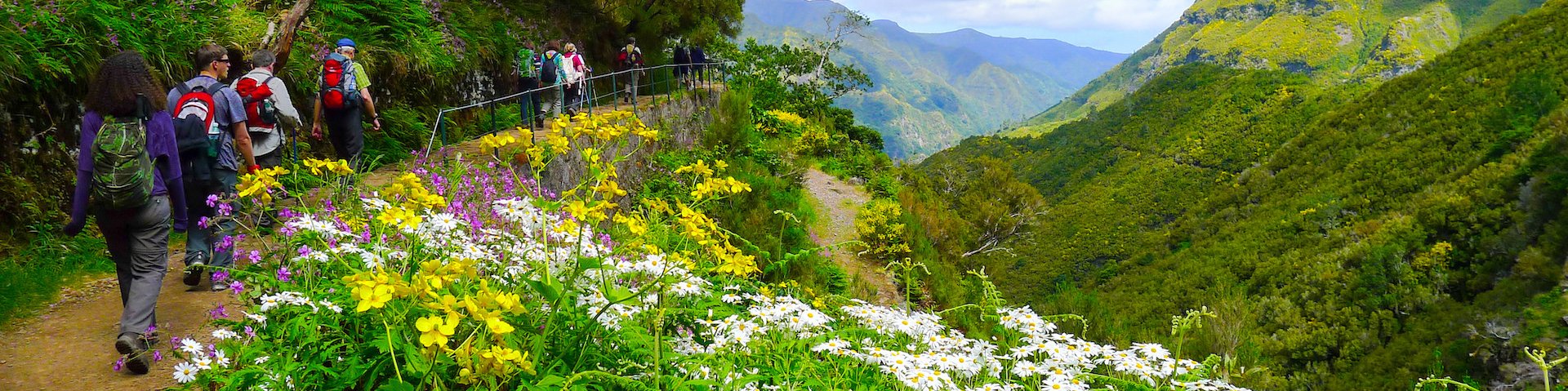 Wanderer auf Madeira 